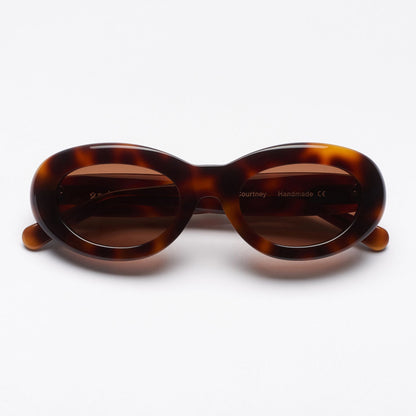 Courtney Tortoise