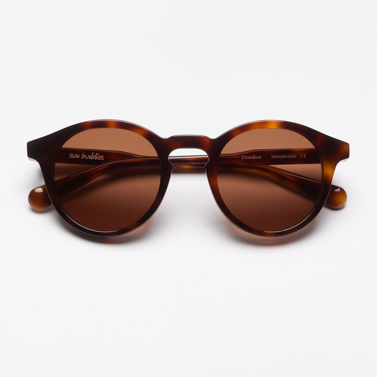 Zinedine Tortoise