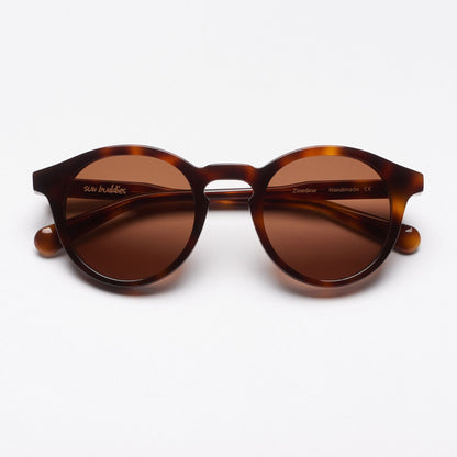 Zinedine Tortoise